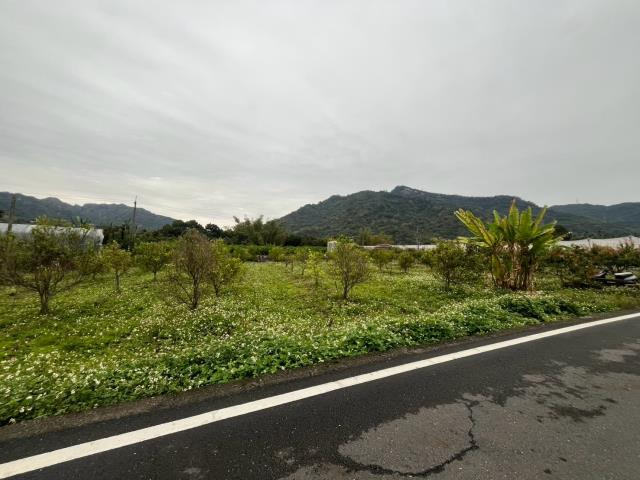國姓農地_山坡地-8