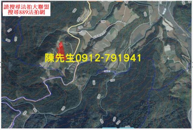 宜蘭大同法拍農地-15