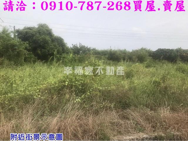 台南農地-4
