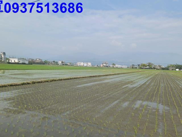 宜蘭壯圍農地-3