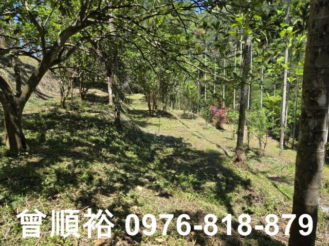 橫山農地-1
