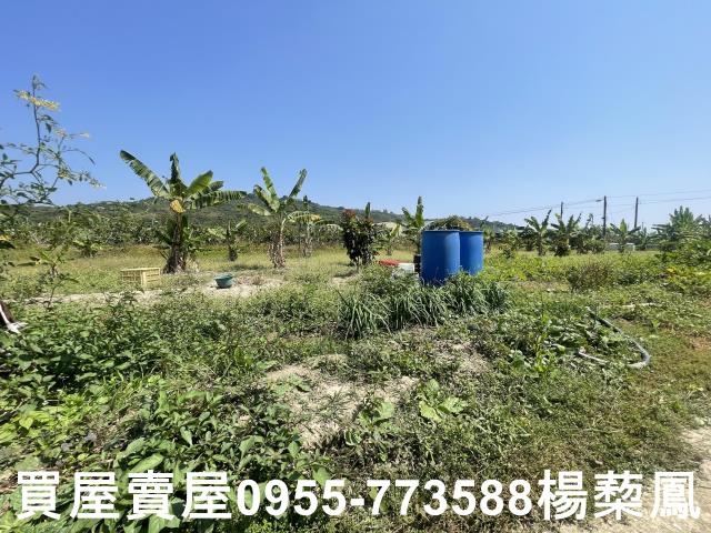 岡山農地_休閒地-12