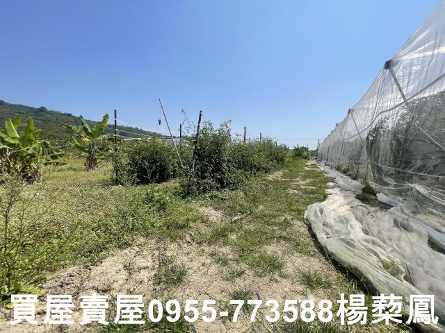 岡山農地_休閒地-10