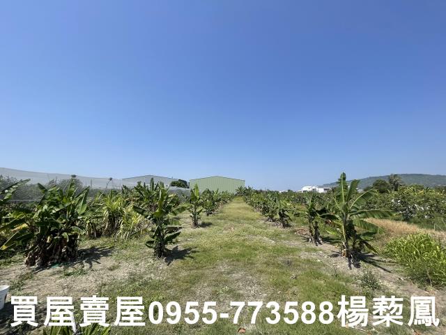 岡山農地_休閒地-3