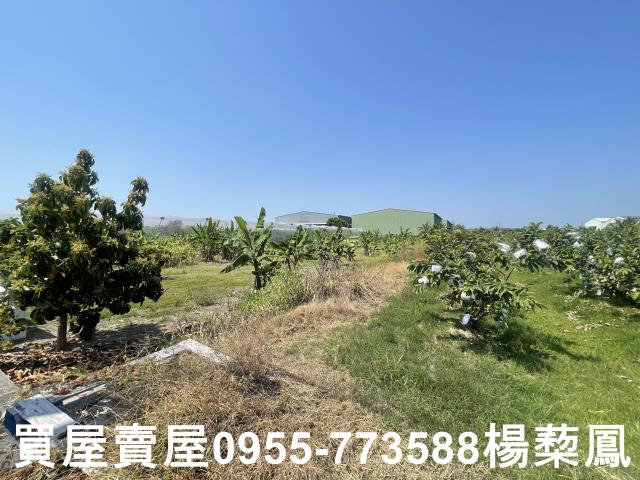 岡山農地_休閒地-5