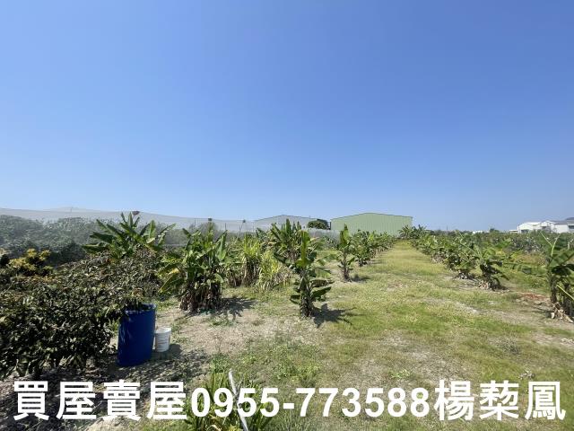 岡山農地_休閒地-6