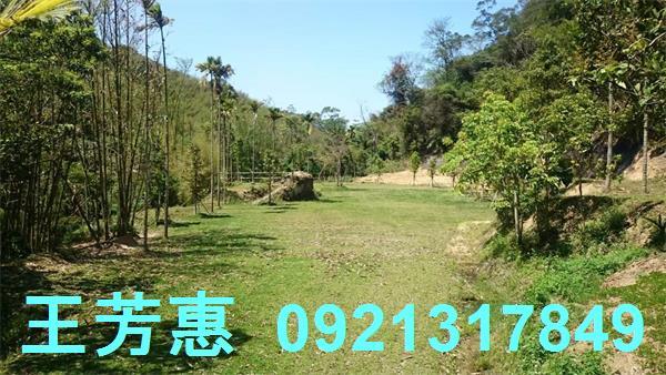 苗栗農地-4