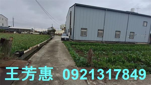 台中農地-8