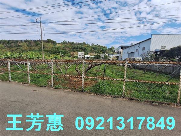 台中農地-9