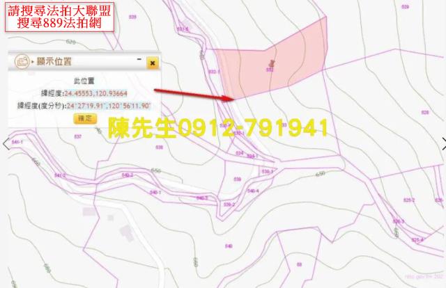 苗栗泰安法拍山坡地_林地-4