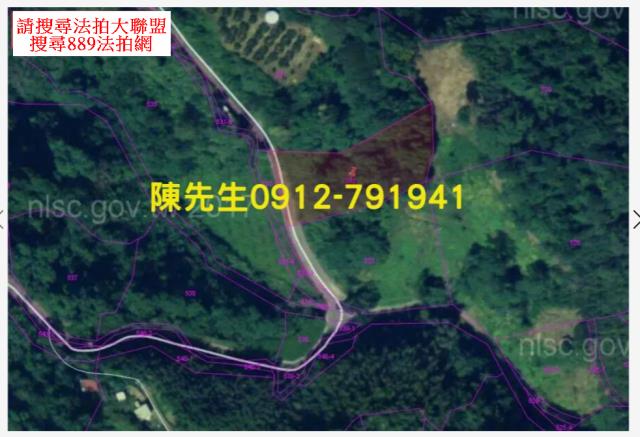 苗栗泰安法拍山坡地_林地-5