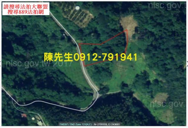 苗栗泰安法拍山坡地_林地-7