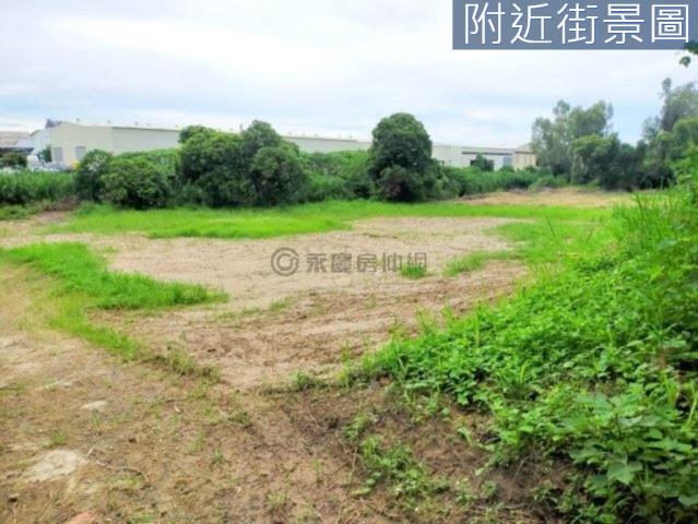 善化農地-4