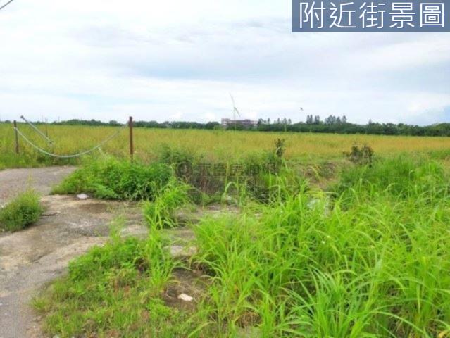 善化農地-5