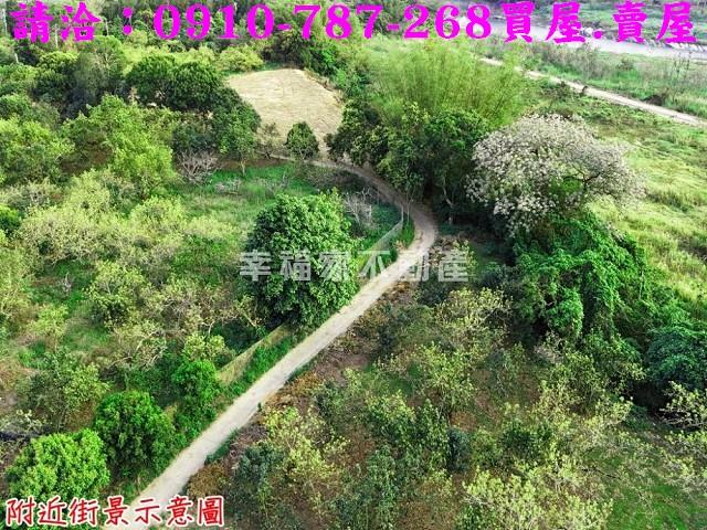 台南農地-3