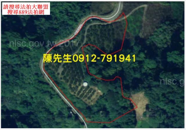 苗栗泰安法拍山坡地_林地-4