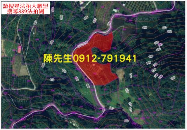 苗栗泰安法拍山坡地_林地-9