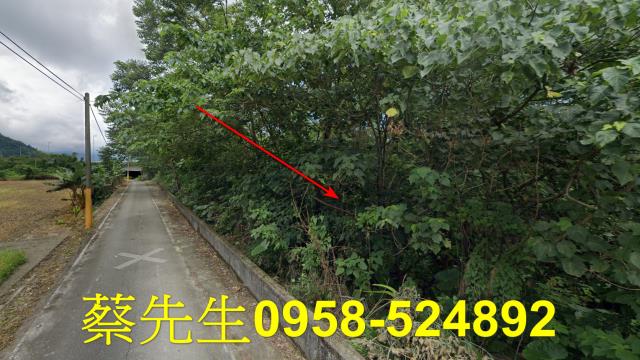 花蓮秀林法拍農地-12