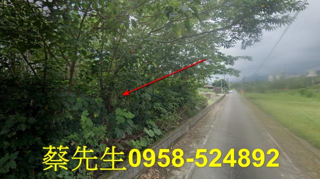 花蓮秀林法拍農地-14