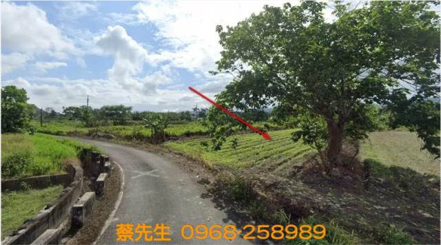 壽豐法拍農地-10