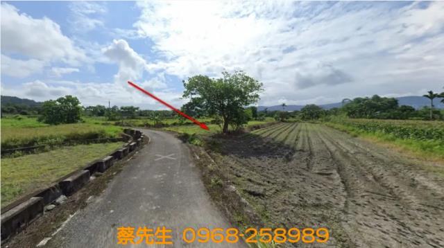 壽豐法拍農地-4