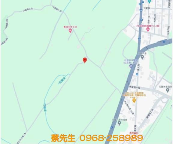 壽豐法拍農地-7