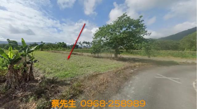 壽豐法拍農地-9