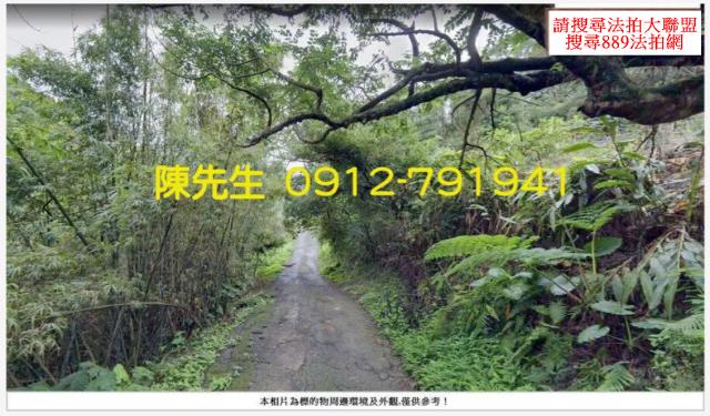 鶯歌山坡地_林地拍賣-11
