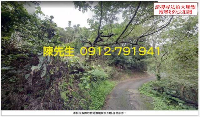 鶯歌山坡地_林地拍賣-12
