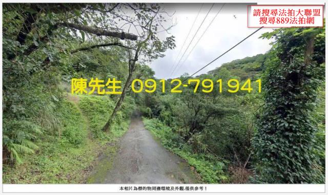 鶯歌山坡地_林地拍賣-13