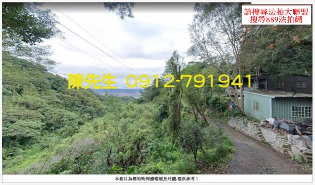 鶯歌山坡地_林地拍賣-14
