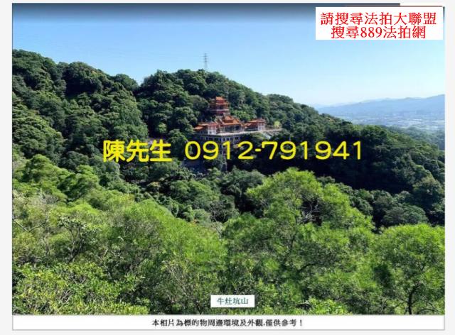 鶯歌山坡地_林地拍賣-15