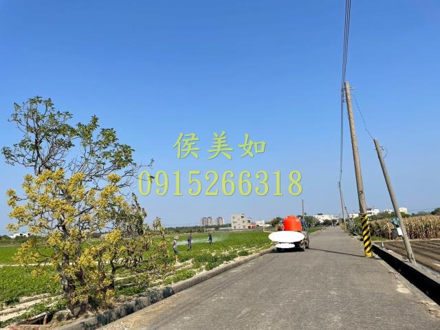 嘉義農地_建地-5