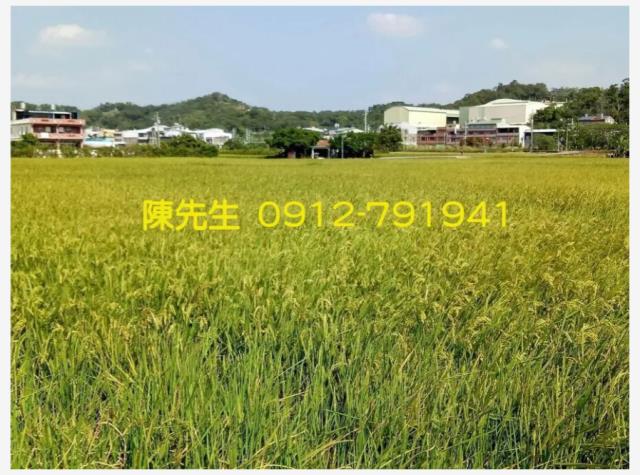頭份農地-12