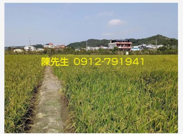 頭份農地-14