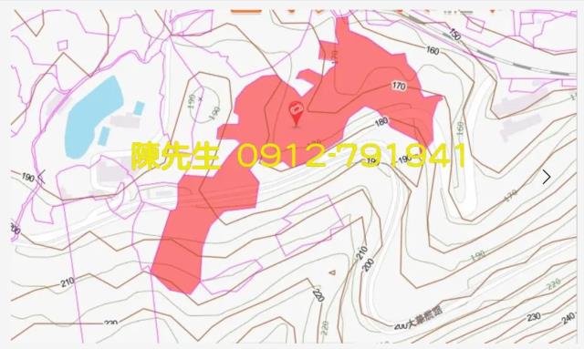 新北拍賣農地_山坡地-15