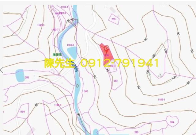 苗栗法拍建地_山坡地-8