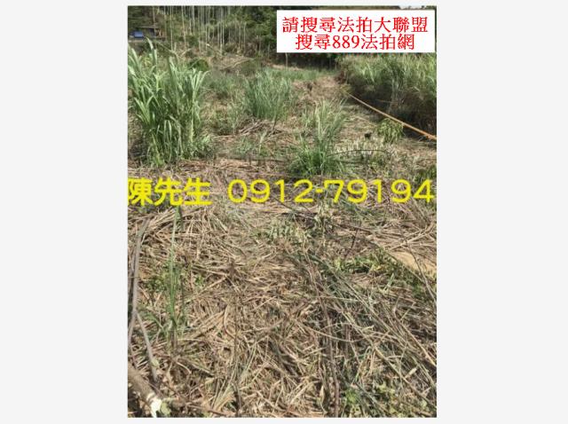 苗栗三灣農地_山坡地-10
