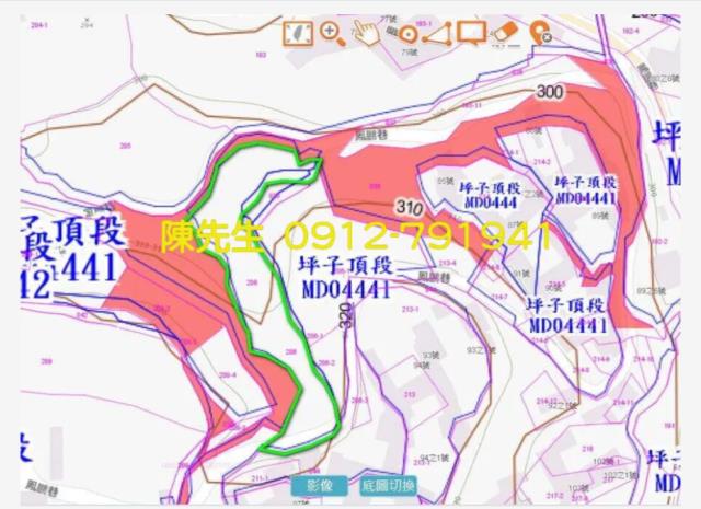 南投鹿谷拍賣農地_山坡地-10