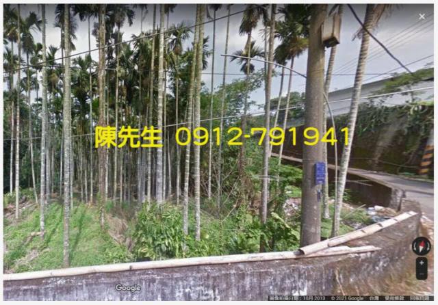 南投鹿谷拍賣農地_山坡地-12
