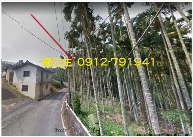 南投鹿谷拍賣農地_山坡地-2