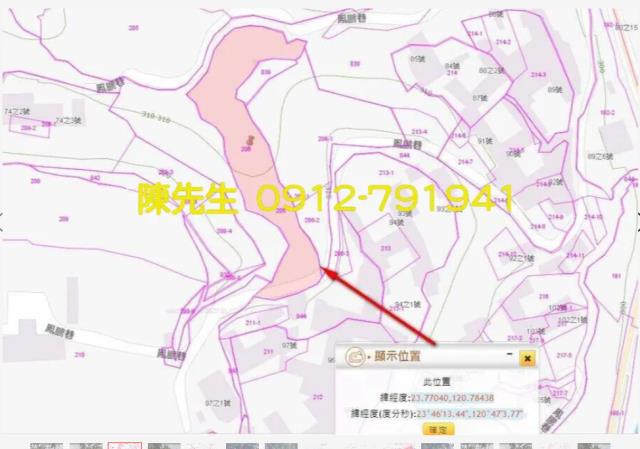 南投鹿谷拍賣農地_山坡地-3