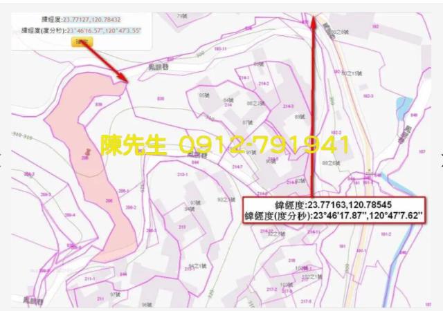 南投鹿谷拍賣農地_山坡地-5