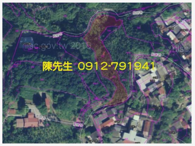 南投鹿谷拍賣農地_山坡地-6