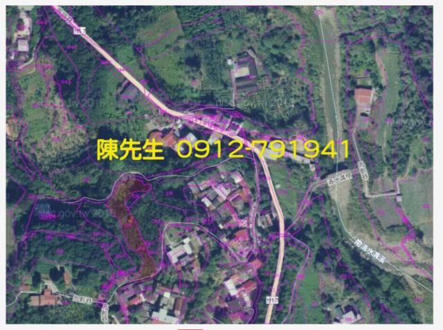 南投鹿谷拍賣農地_山坡地-7