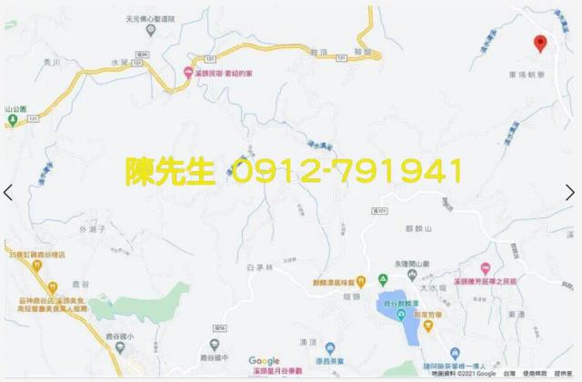 南投鹿谷拍賣農地_山坡地-9