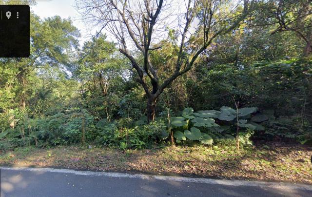 安樂區休閒地法拍-8