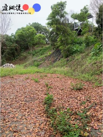 中寮農地_山坡地-2
