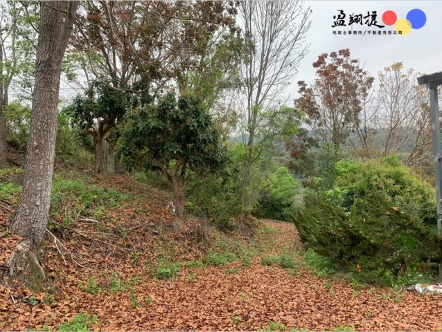 中寮農地_山坡地-3