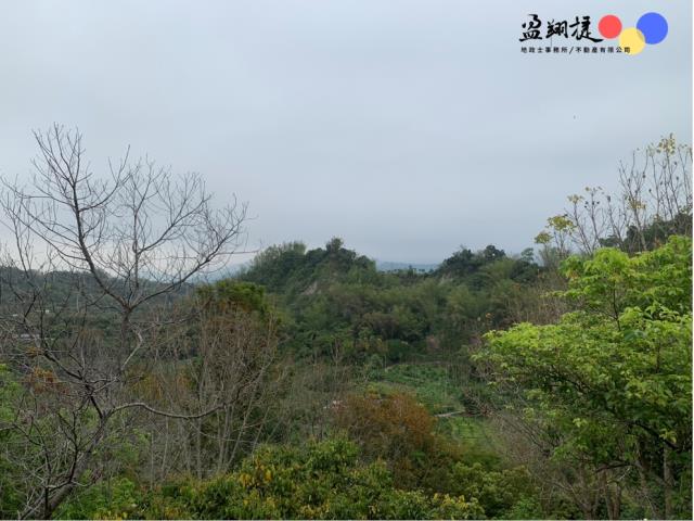 中寮農地_山坡地-4